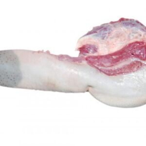 beef tongue