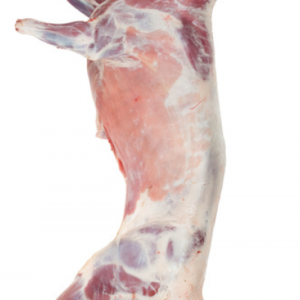 Goat meat carcass