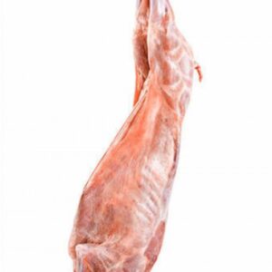 Lamb Carcass