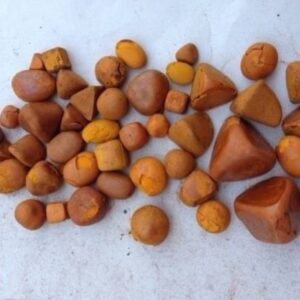 Ox cow gallstones